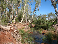 Walk Crossing Pool to Homestead